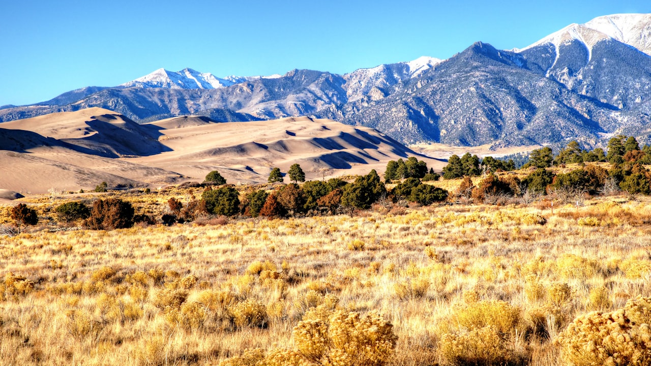 How To Choose A Great Wig